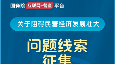 www.插逼国务院“互联网+督查”平台公开征集阻碍民营经济发展壮大问题线索